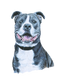 Marley
