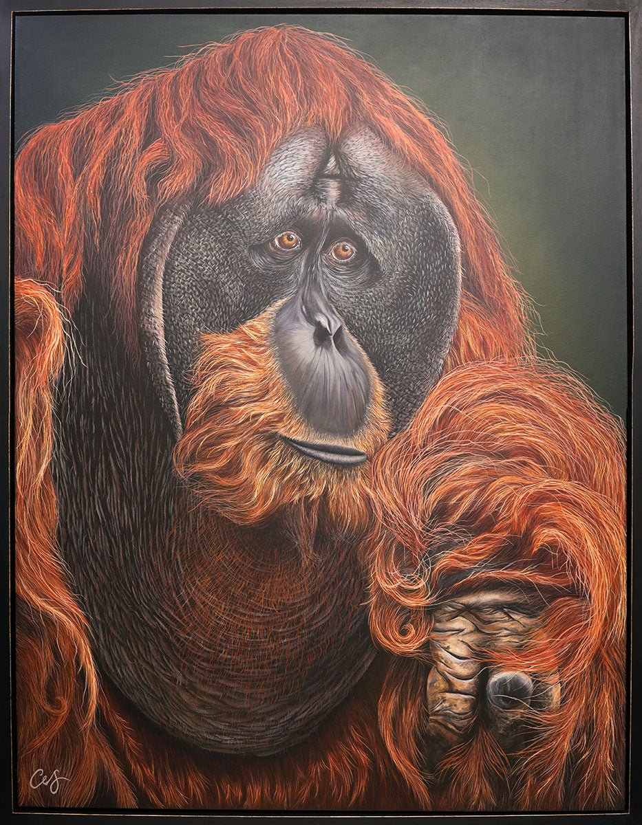 'Puluh' Pongo Abelii, Original Orangutang Painting