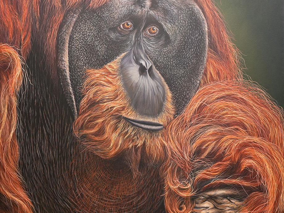 'Puluh' Pongo Abelii, Original Orangutang Painting