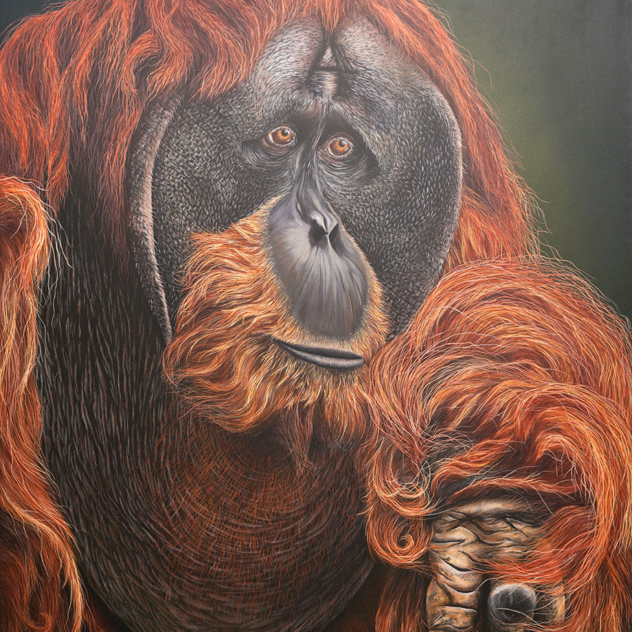 'Puluh' Pongo Abelii, Original Orangutang Painting