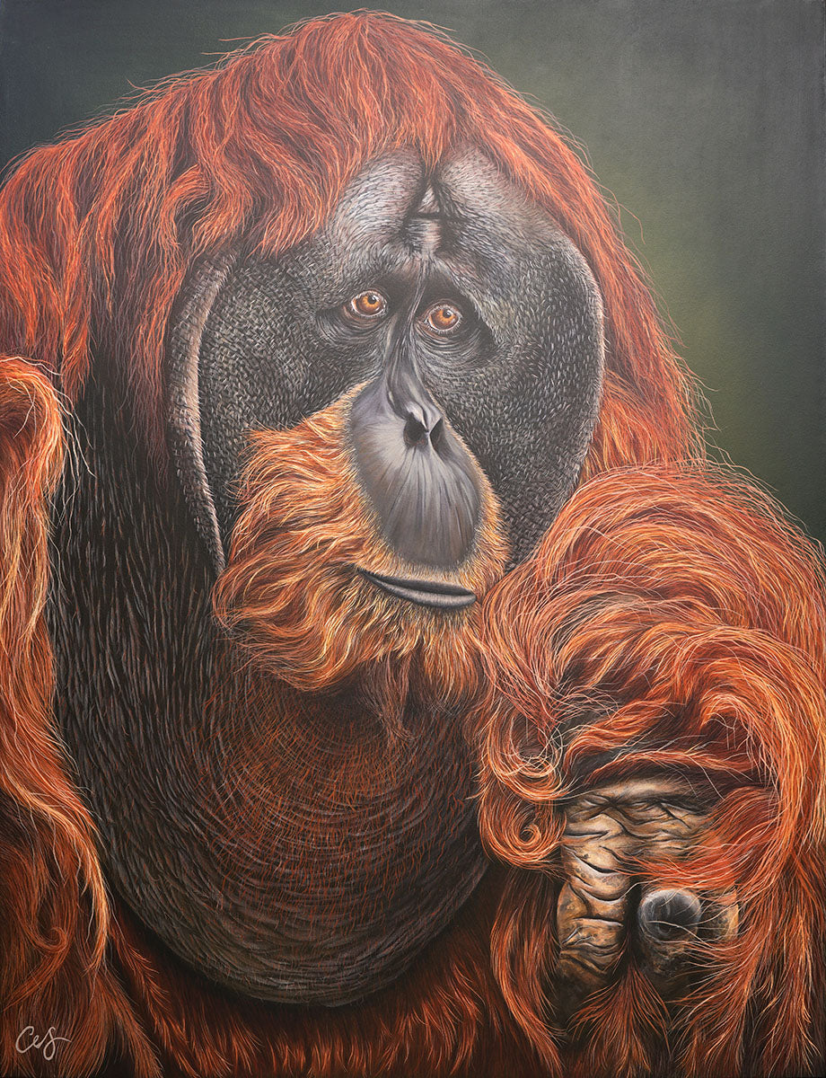 'Puluh' Pongo Abelii, Original Orangutang Painting