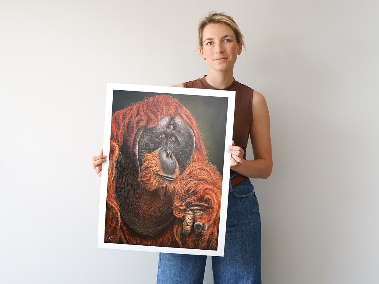 'Puluh' Pongo Abelii, Limited Edition Orangutang Print