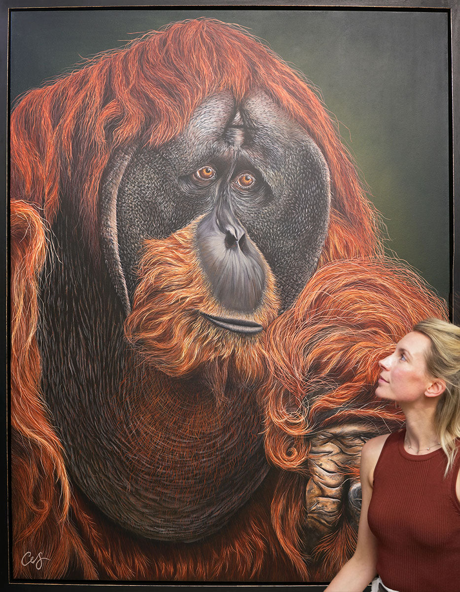 'Puluh' Pongo Abelii, Original Orangutang Painting