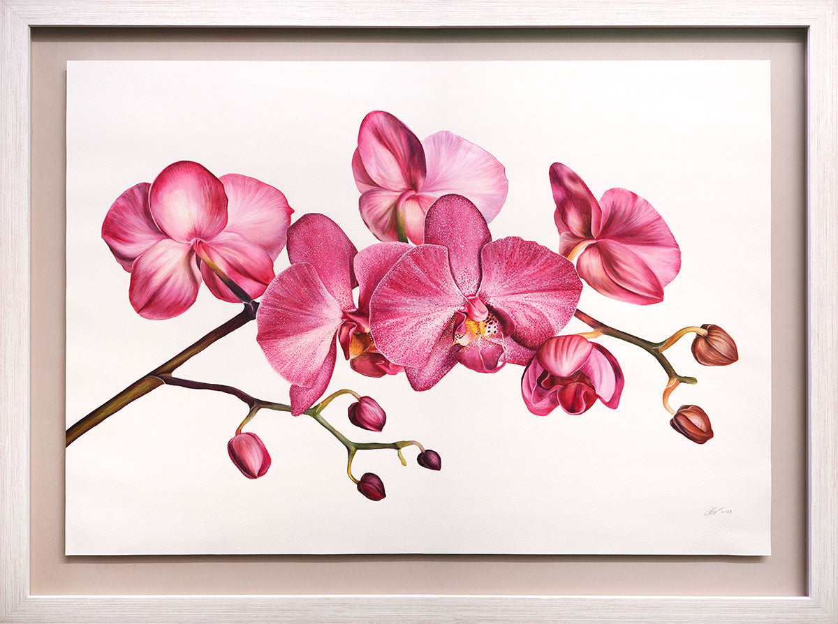 Orchid, Original Watercolour Painting