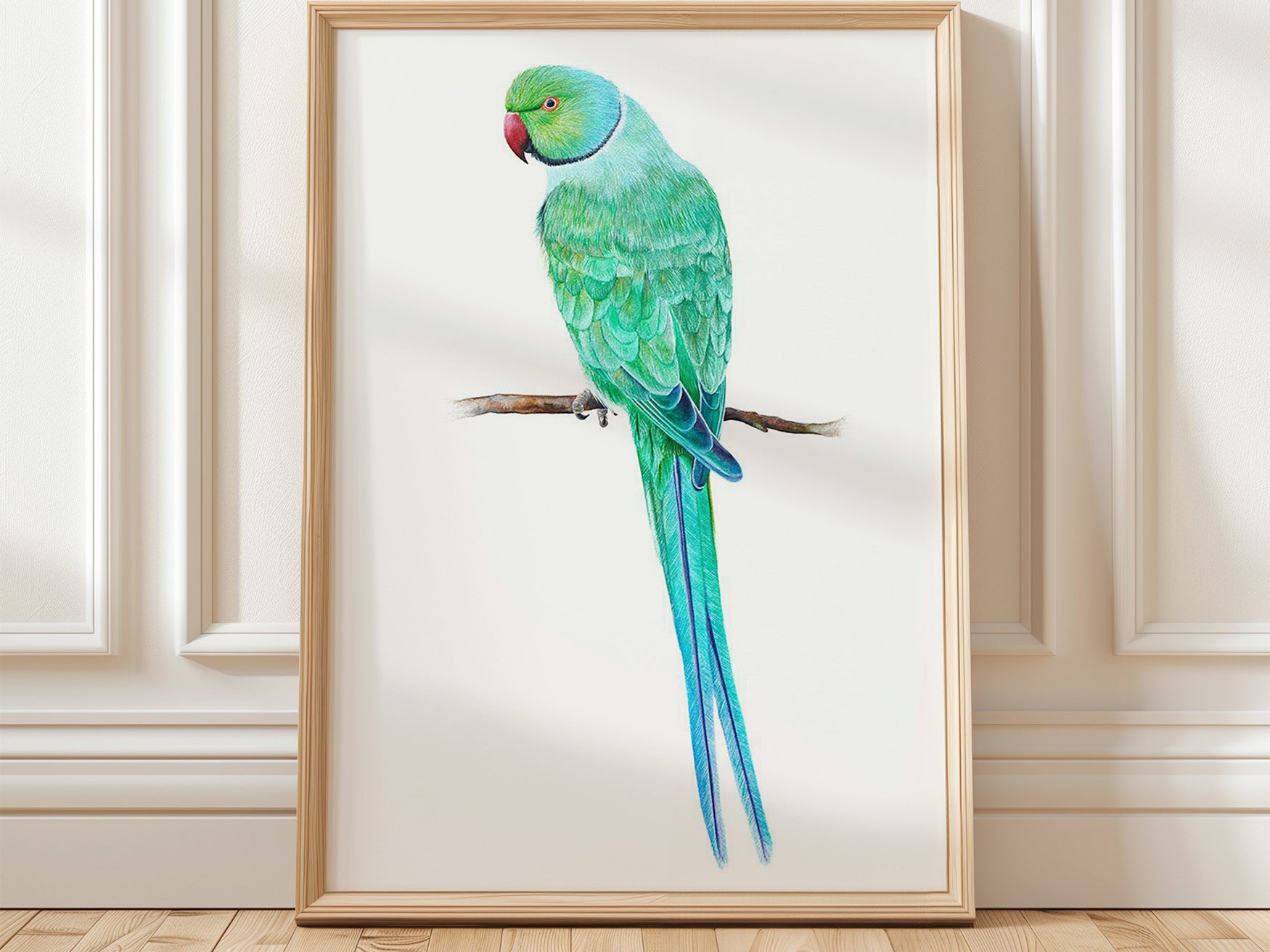 Ring Necked Parakeet, Fine Art Watercolour Print