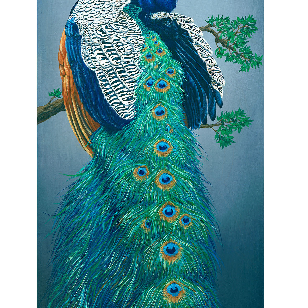 Peacock, Original Peacock Painting