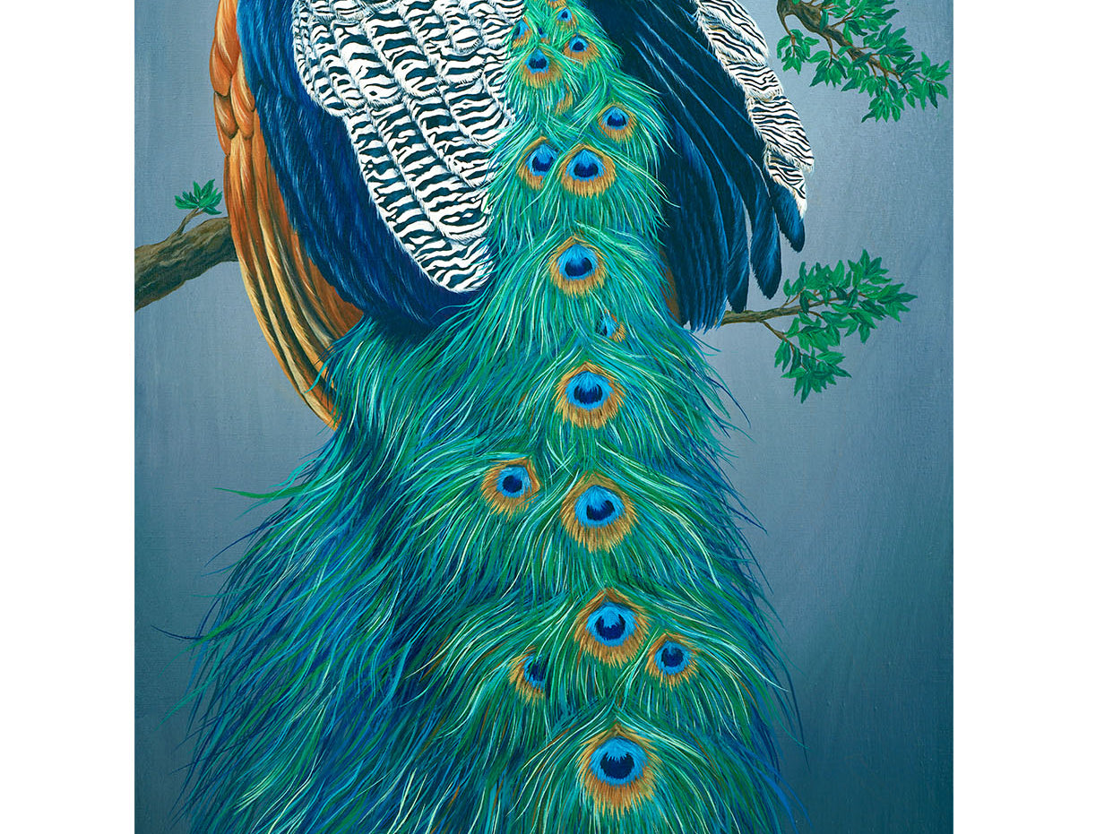 Peacock, Original Peacock Painting