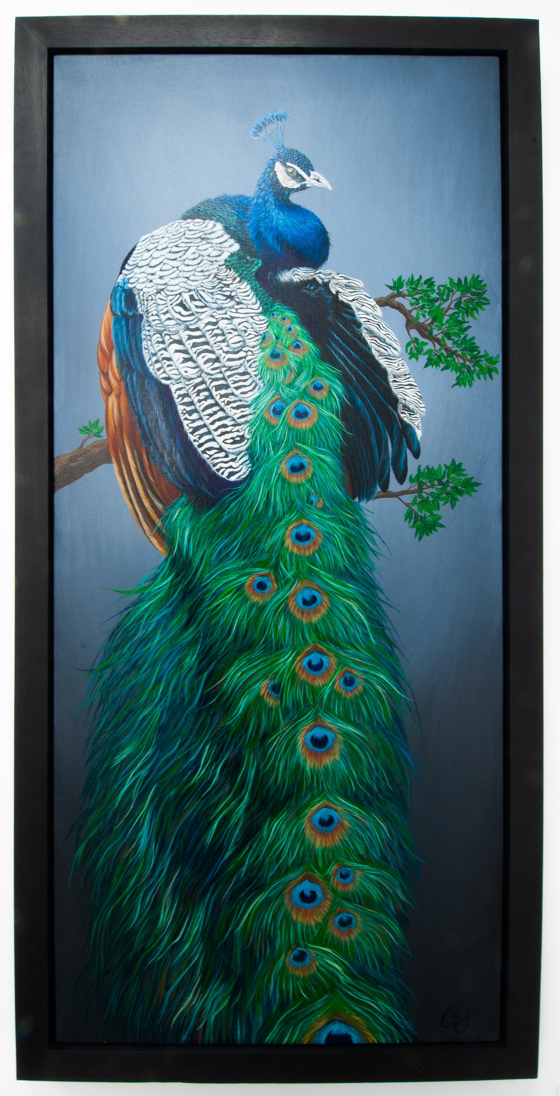 Peacock, Original Peacock Painting