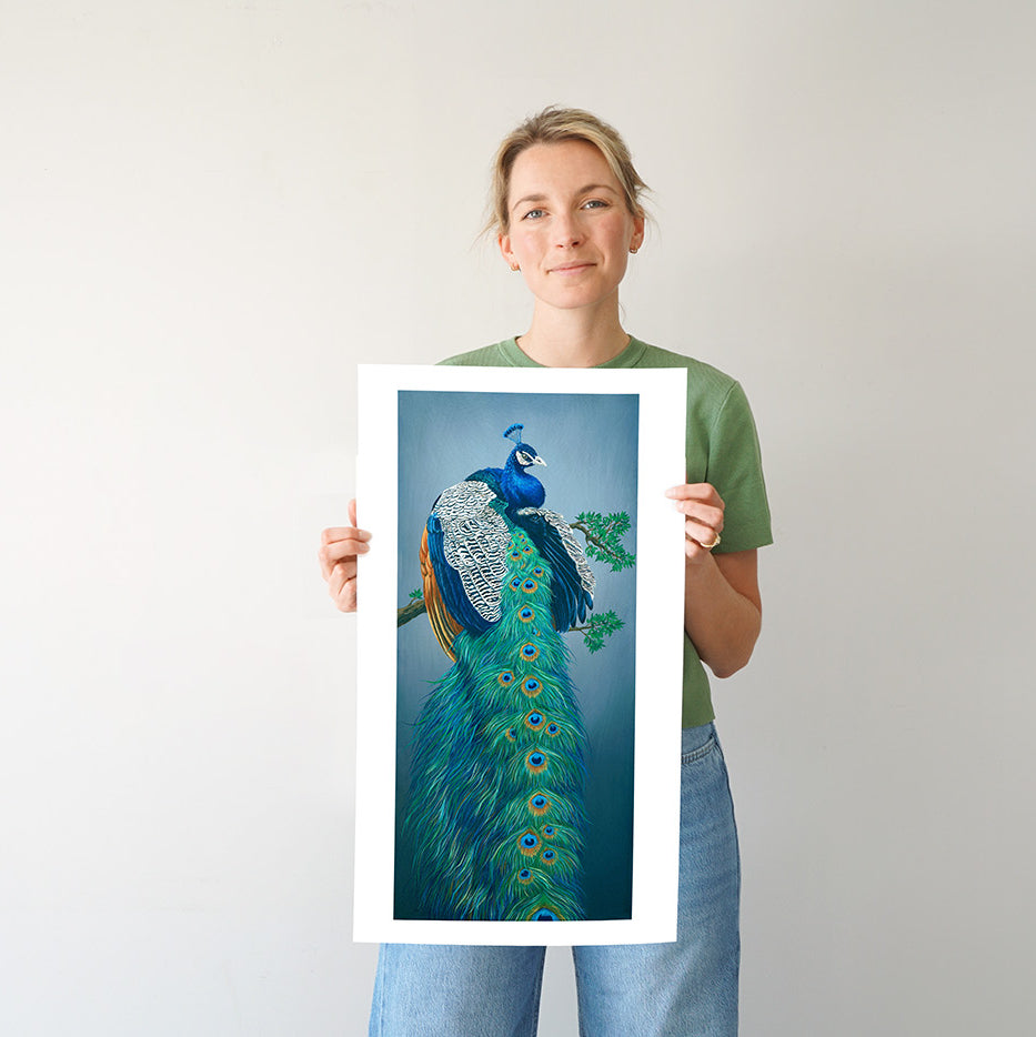 Peacock, Limited Edition Peacock Fine Art Print