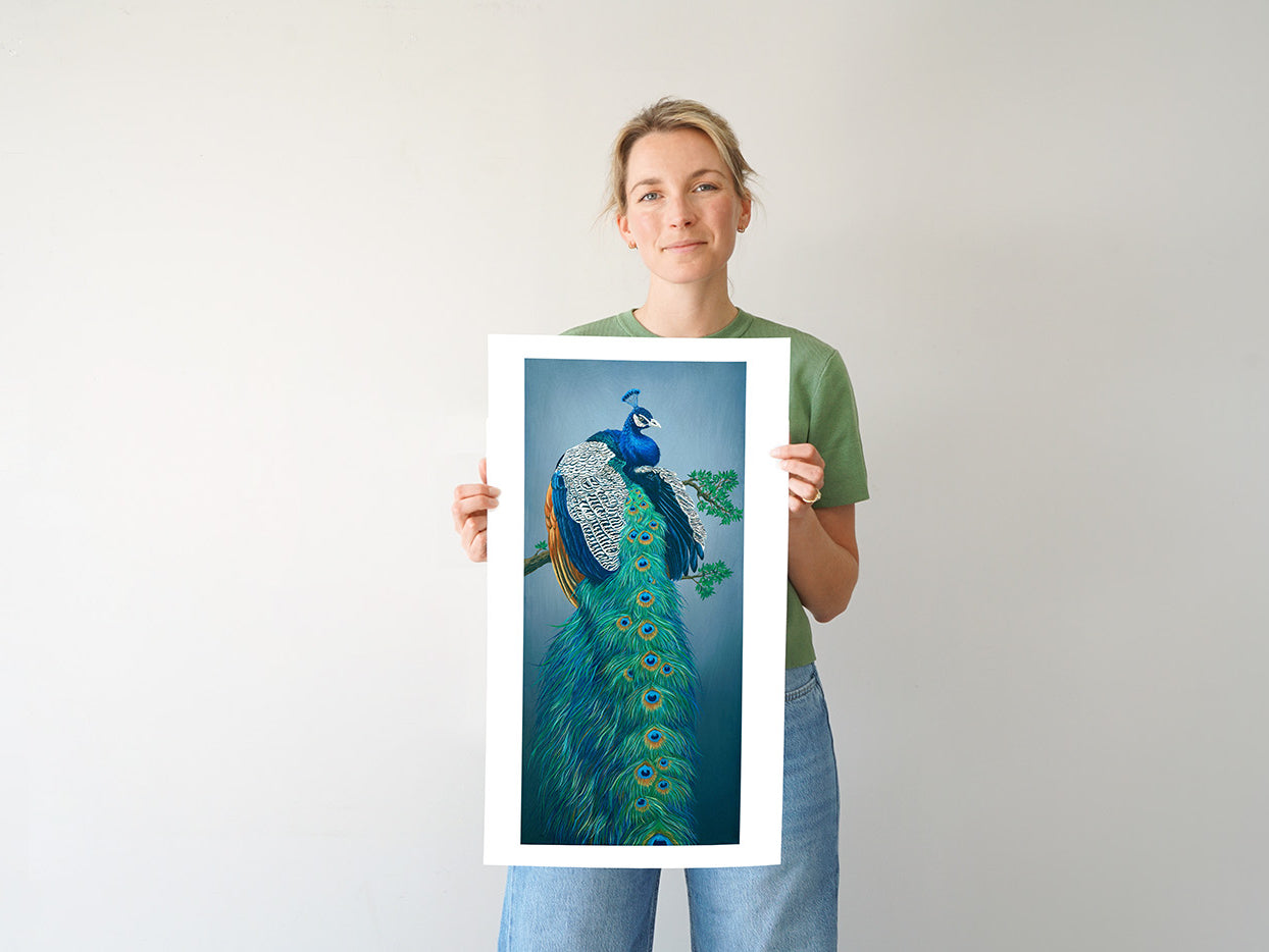 Peacock, Limited Edition Peacock Fine Art Print