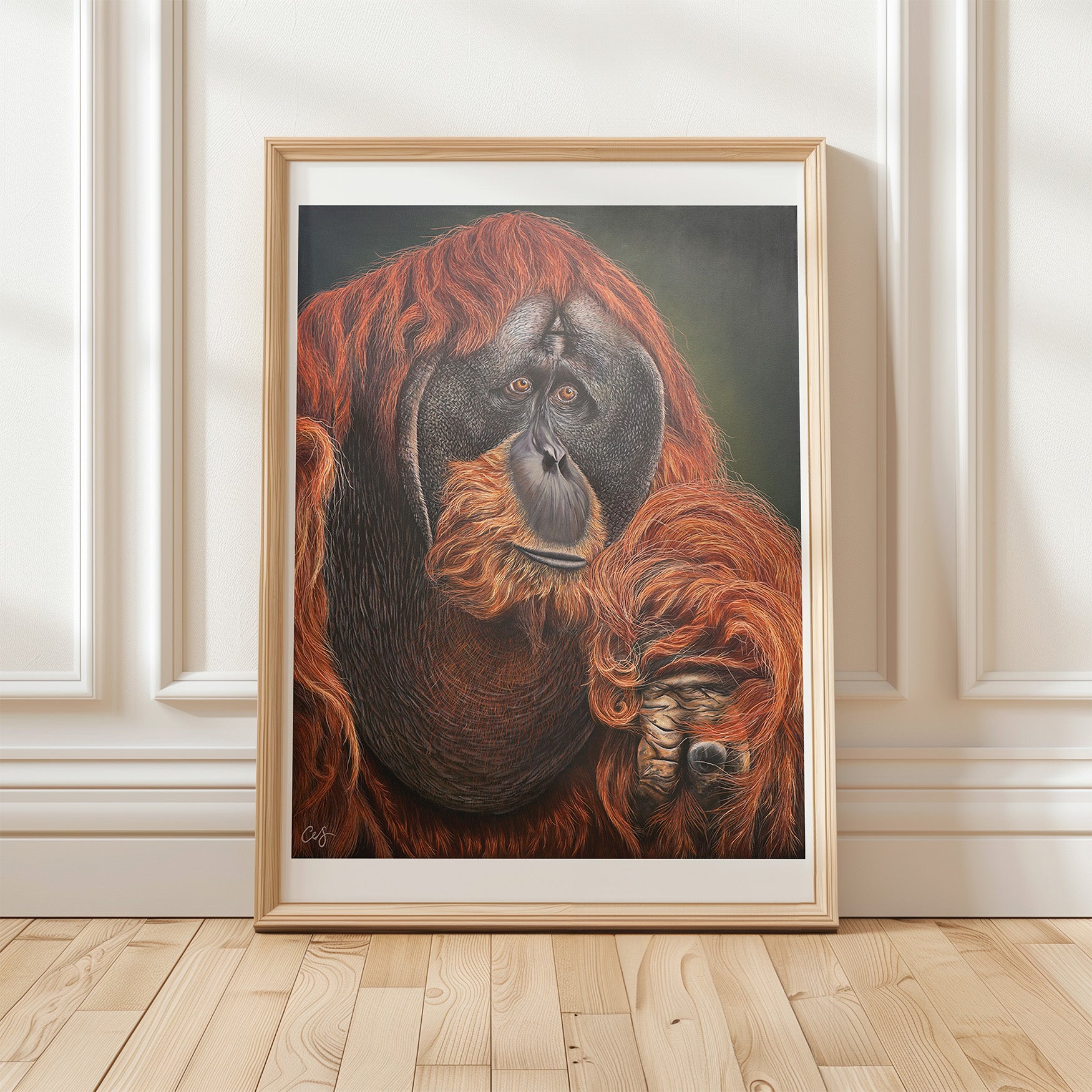 'Puluh' Pongo Abelii, Limited Edition Orangutang Print