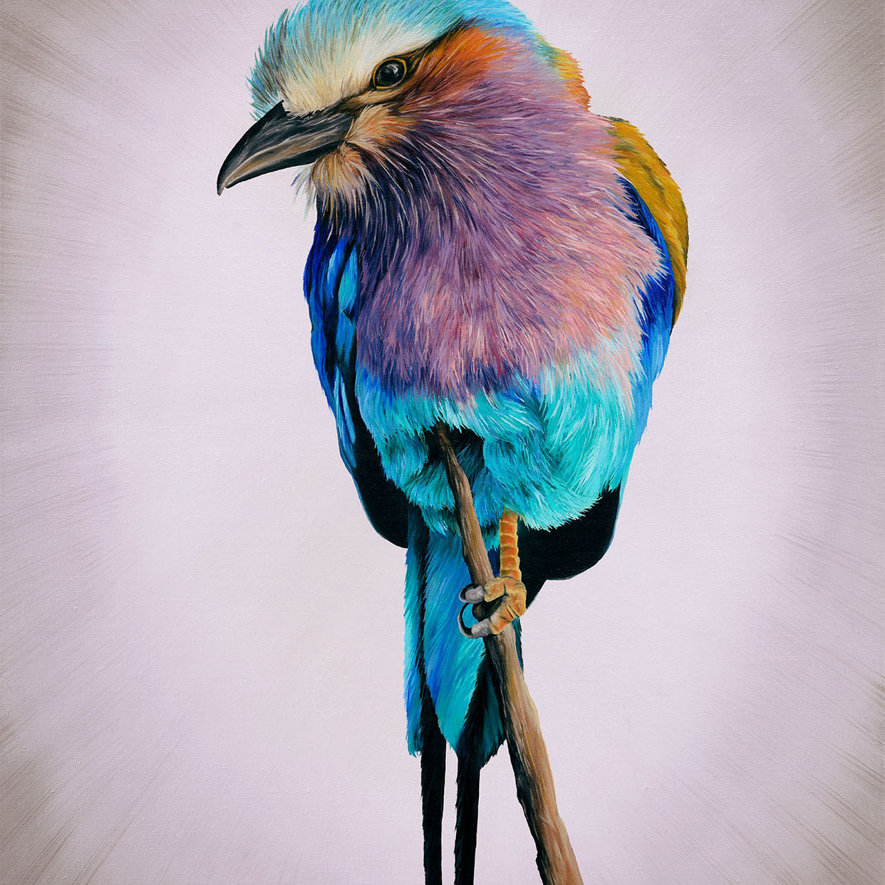 Lilac Breasted Roller, Original Bee Eater Oil Painting