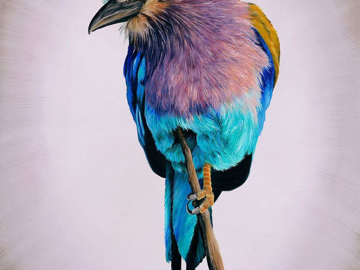 Lilac Breasted Roller, Original Bee Eater Oil Painting