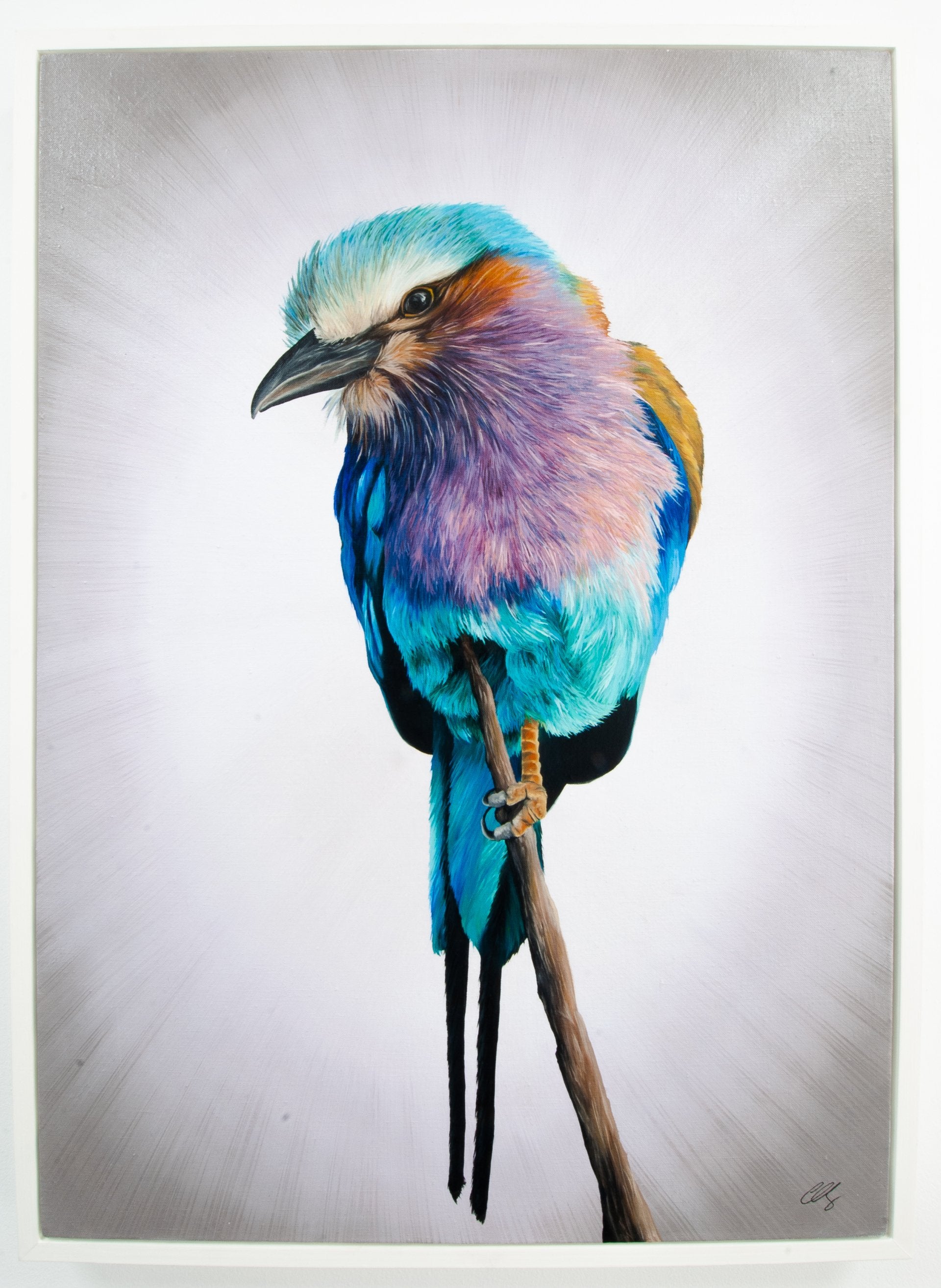 Lilac Breasted Roller, Original Bee Eater Oil Painting