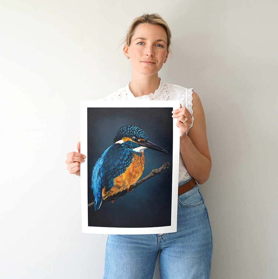 Evening Kingfisher, Limited Edition Kingfisher Fine Art Print