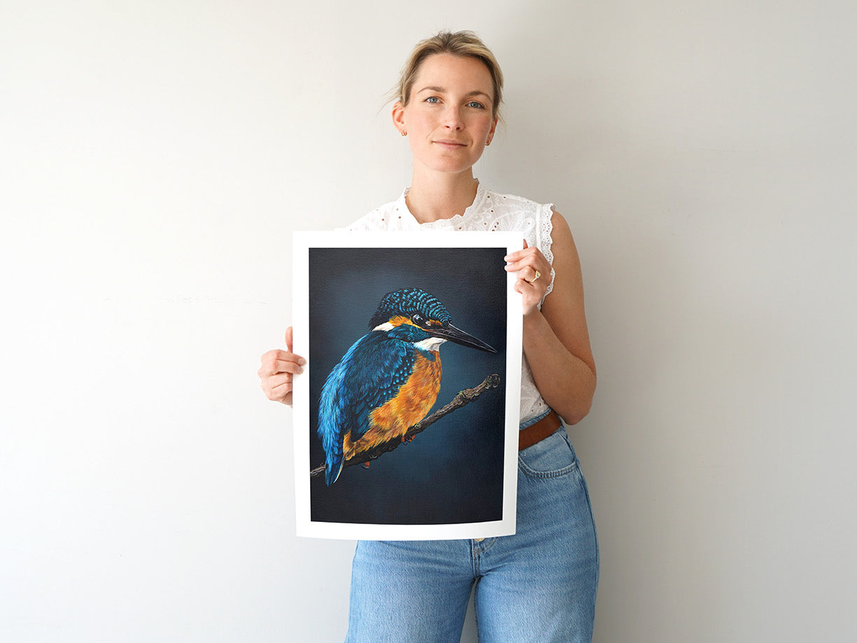 Evening Kingfisher, Limited Edition Kingfisher Fine Art Print