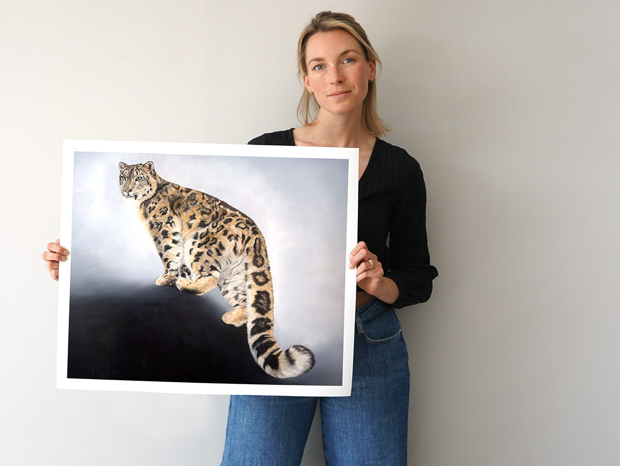 Snow Leopard, Limited Edition Fine Art Print