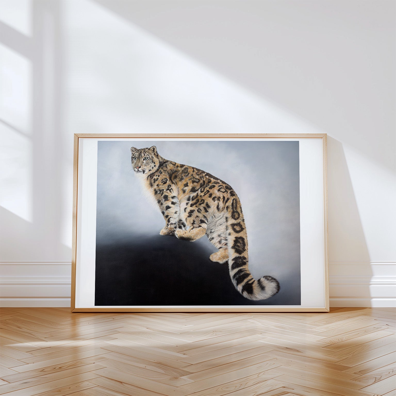 Snow Leopard, Limited Edition Fine Art Print