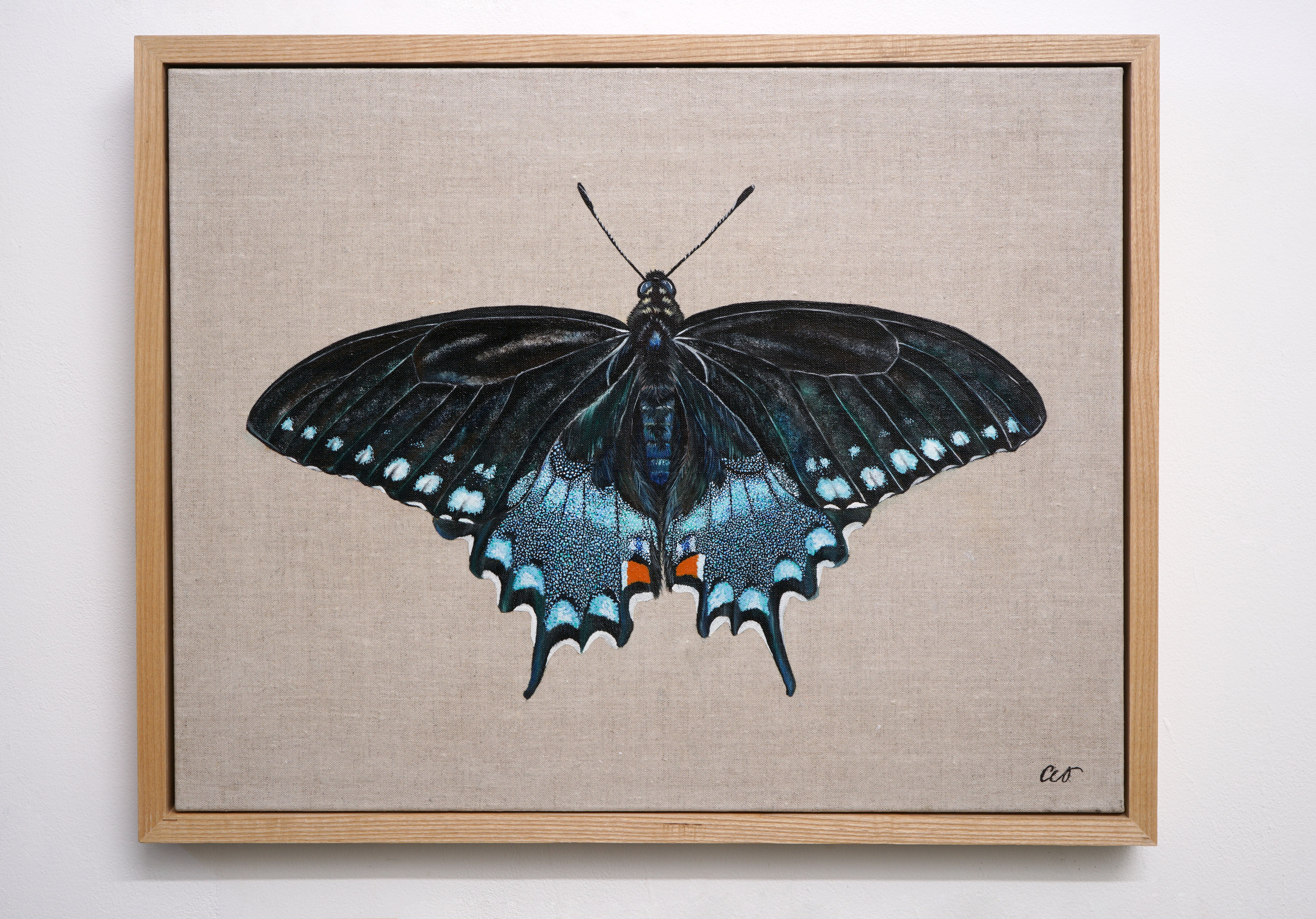Spicebush Swallowtail Butterfly, Original Butterfly Painting