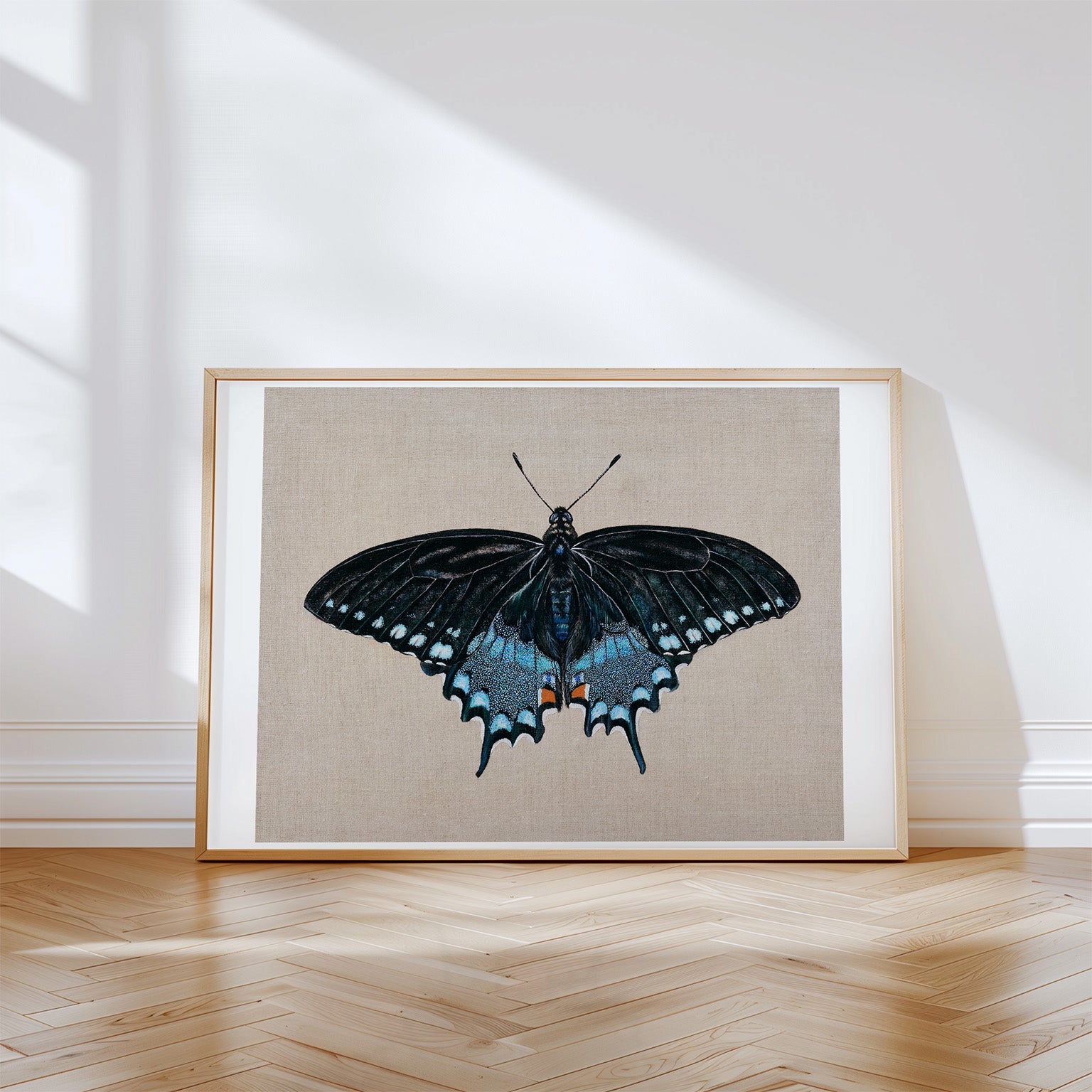 Spicebush Swallowtail Butterfly, Limited Edition Fine Art Print