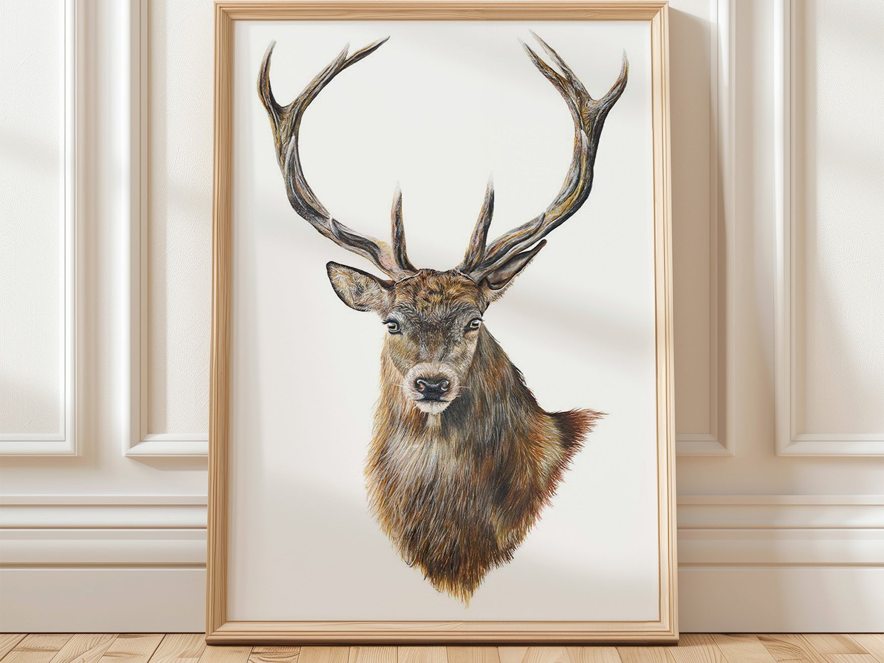 Stag, Limited Edition Fine Art Print