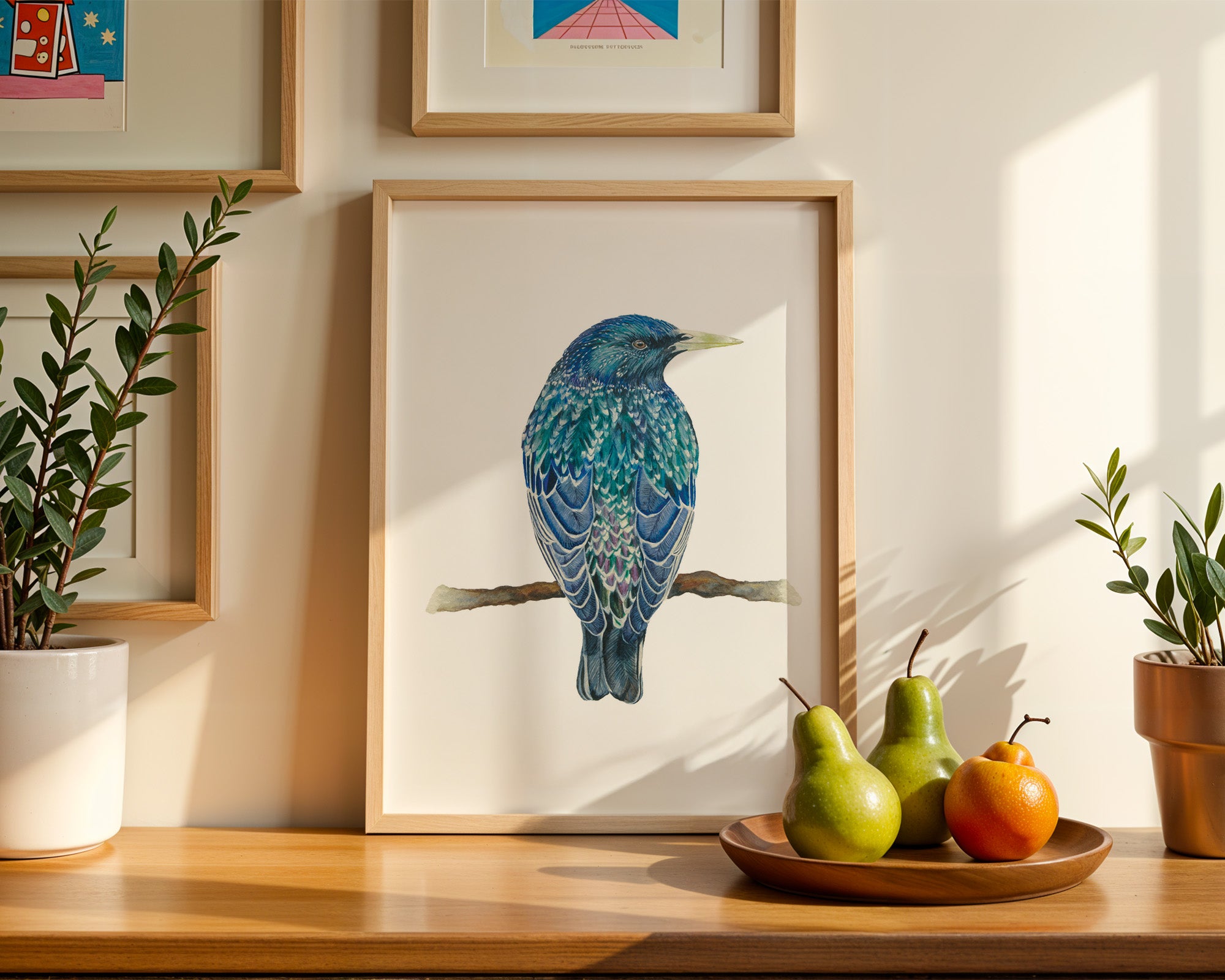 European Starling, Fine Art Watercolour Print