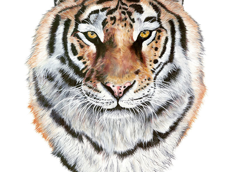 Tiger, Original Tiger Painting