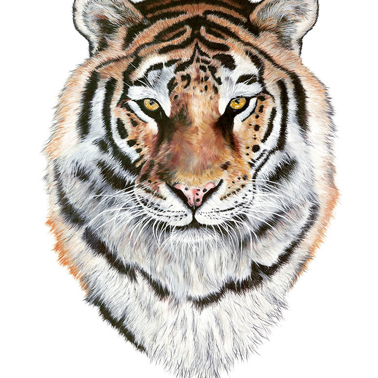 Tiger, Original Tiger Painting