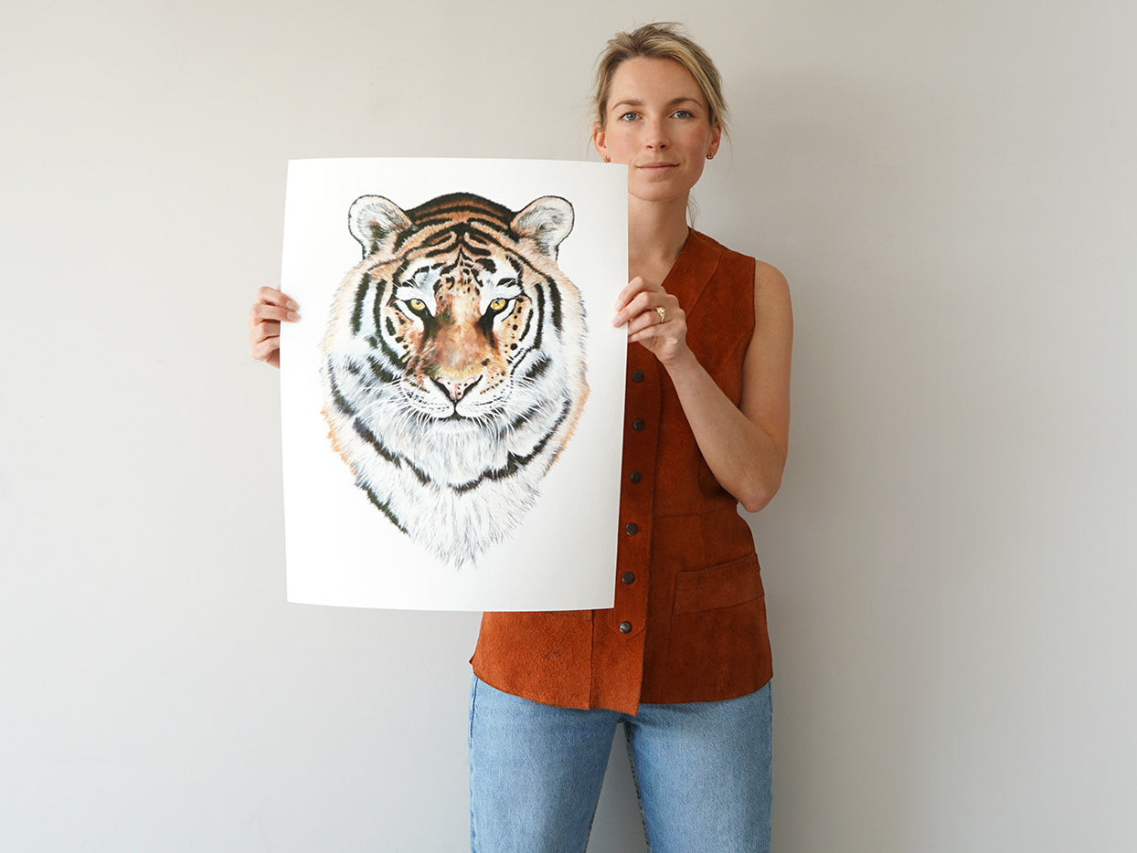 Tiger, Limited Edition Fine Art Print