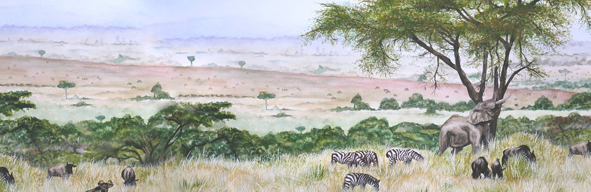 Wildlife