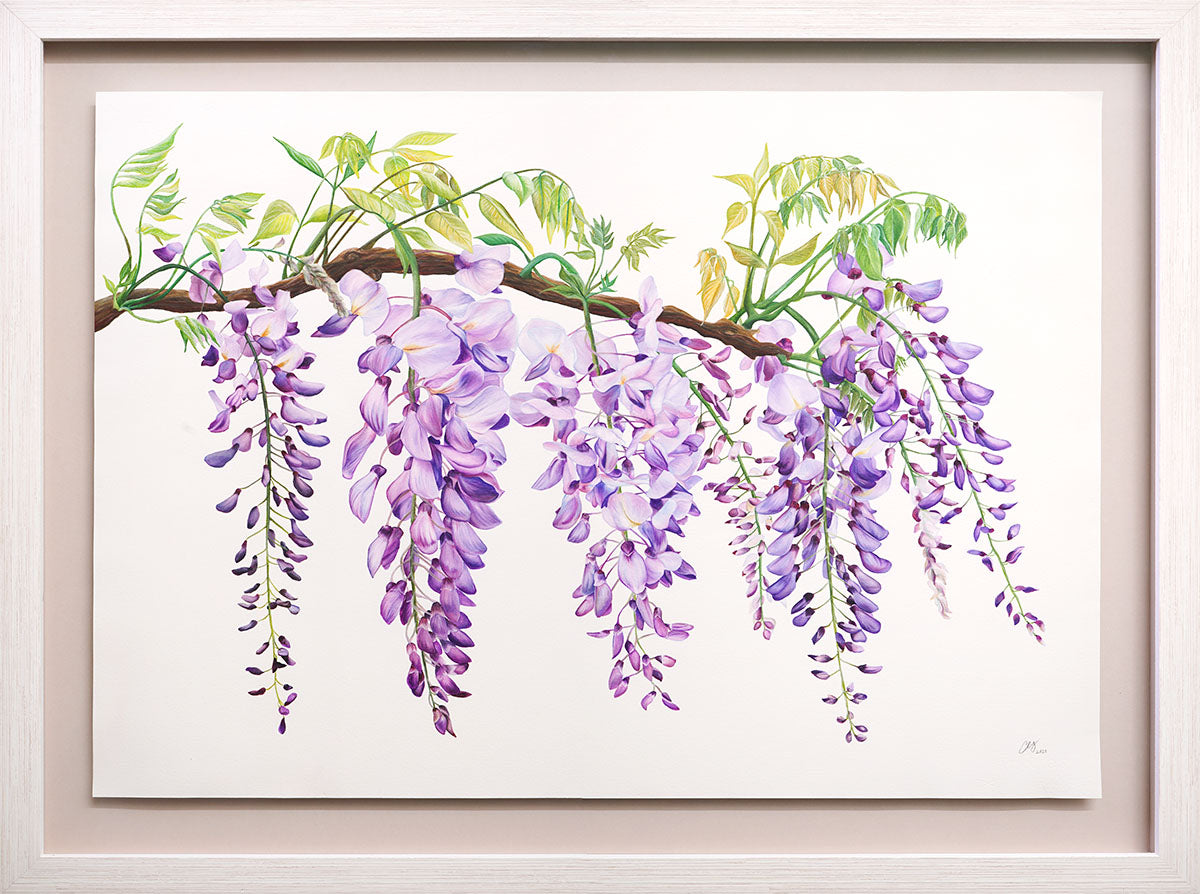 Wisteria, Original Watercolour Painting