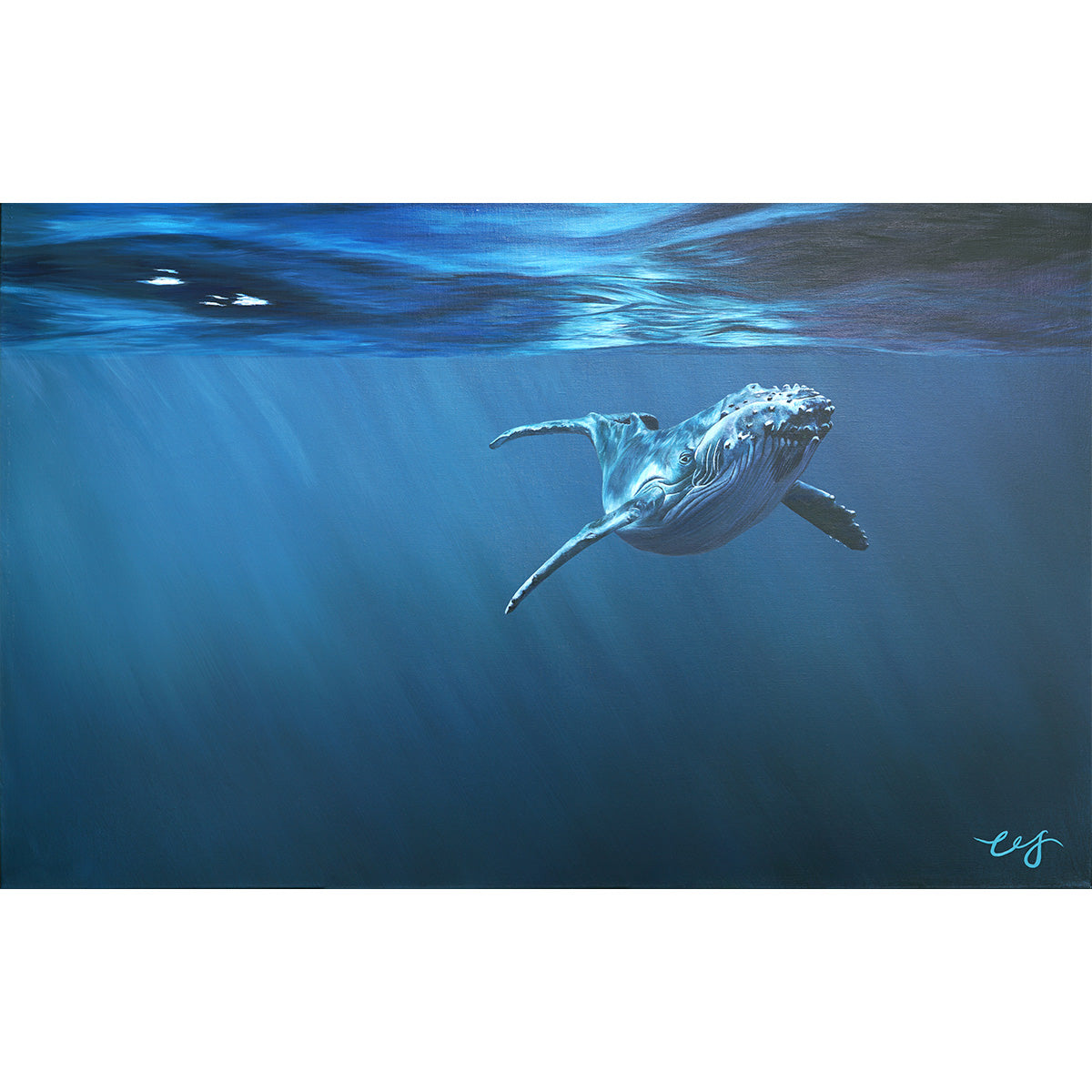 Curiosity, Original Whale Painting, Humpback Calf
