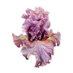 Iris paris fashion watercolour square gallery