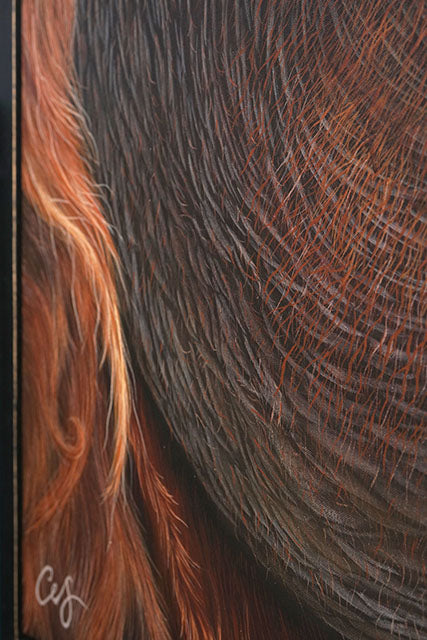 'Puluh' Pongo Abelii, Original Orangutang Painting