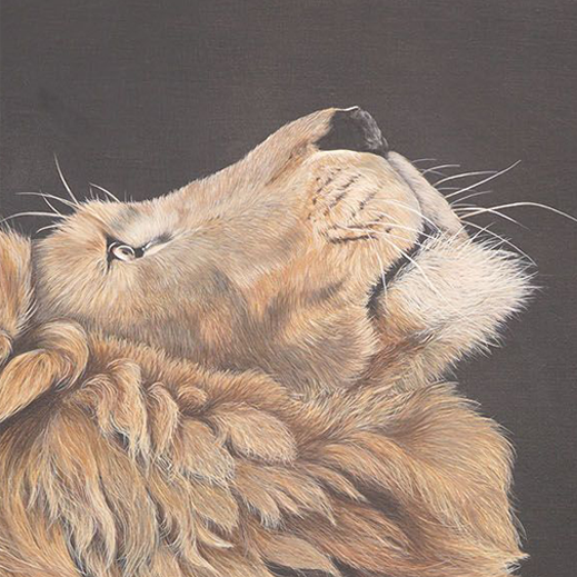 Fahari, Limited Edition Giclée Print of a Leaping Male Lion