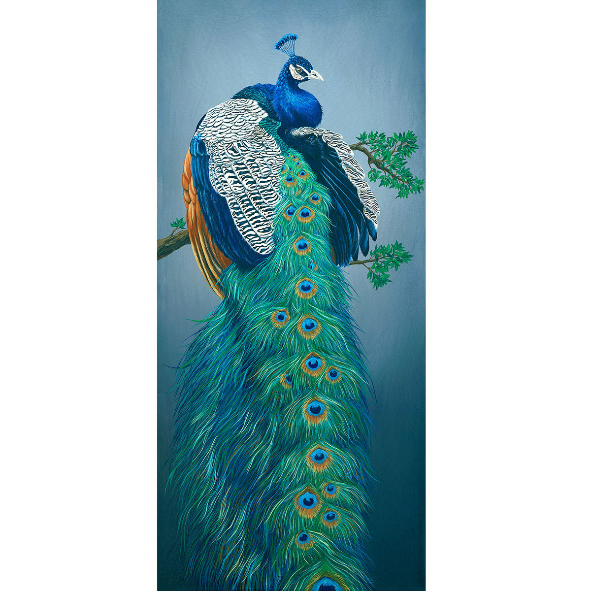 Peacock, Original Peacock Painting