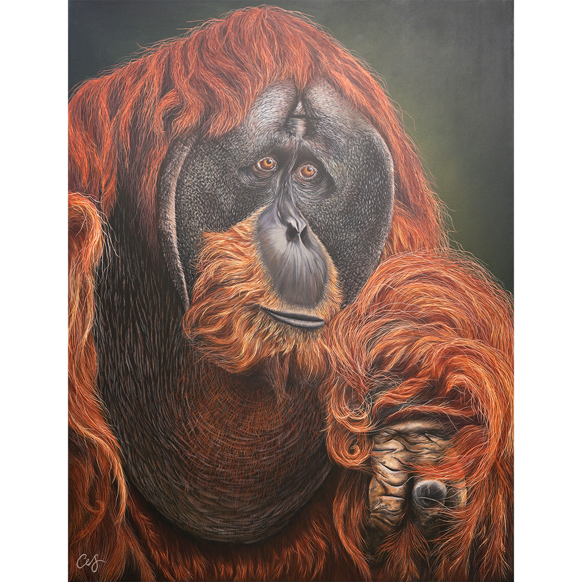 'Puluh' Pongo Abelii, Original Orangutang Painting
