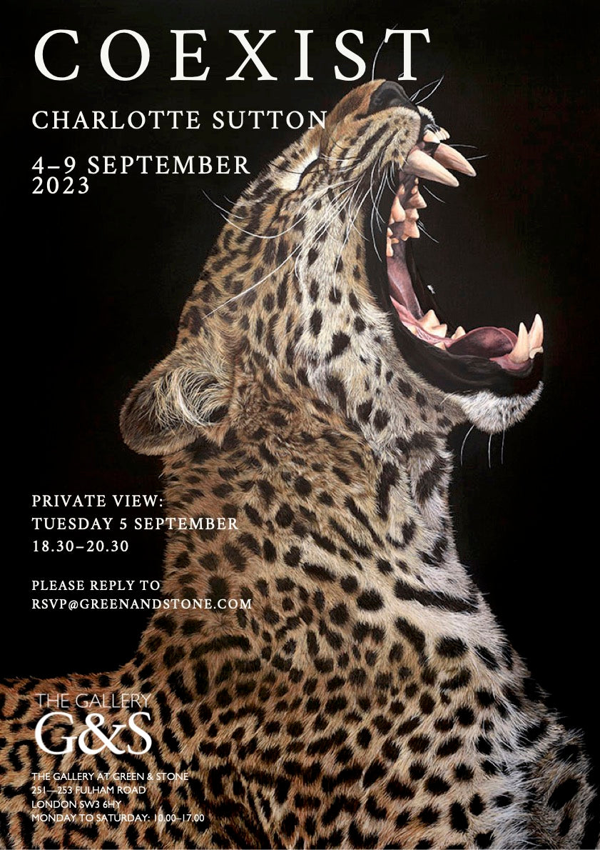 Coexist: My Second Solo Exhibition at Green &amp; Stone Gallery, Chelsea London