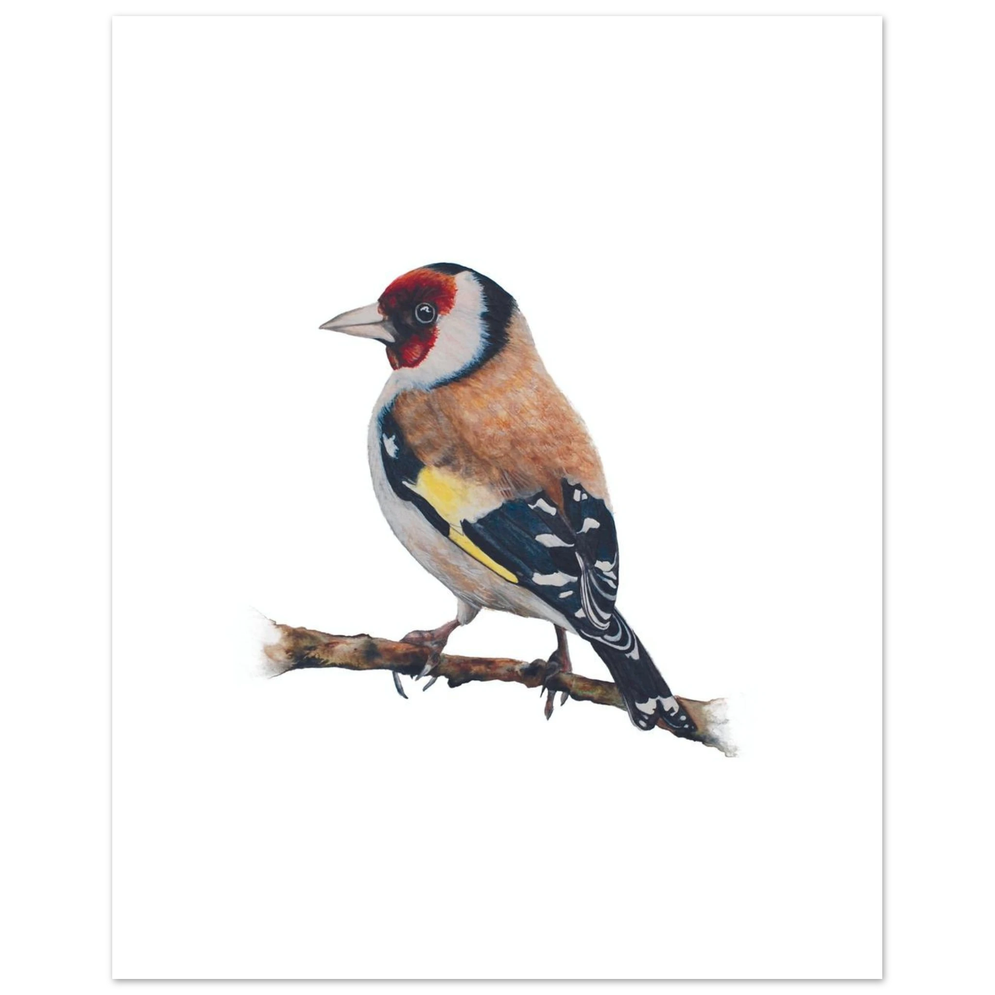 20bab36e-c95a-4b7e-9b2c-6355ed29ebec