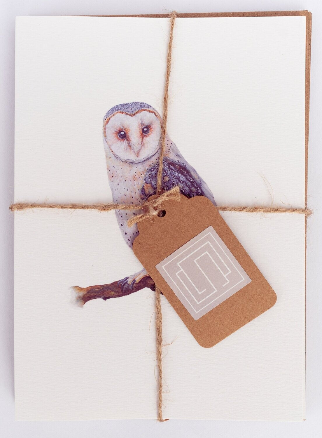 British Garden Birds | Set of 8 Fine Art Greeting Cards