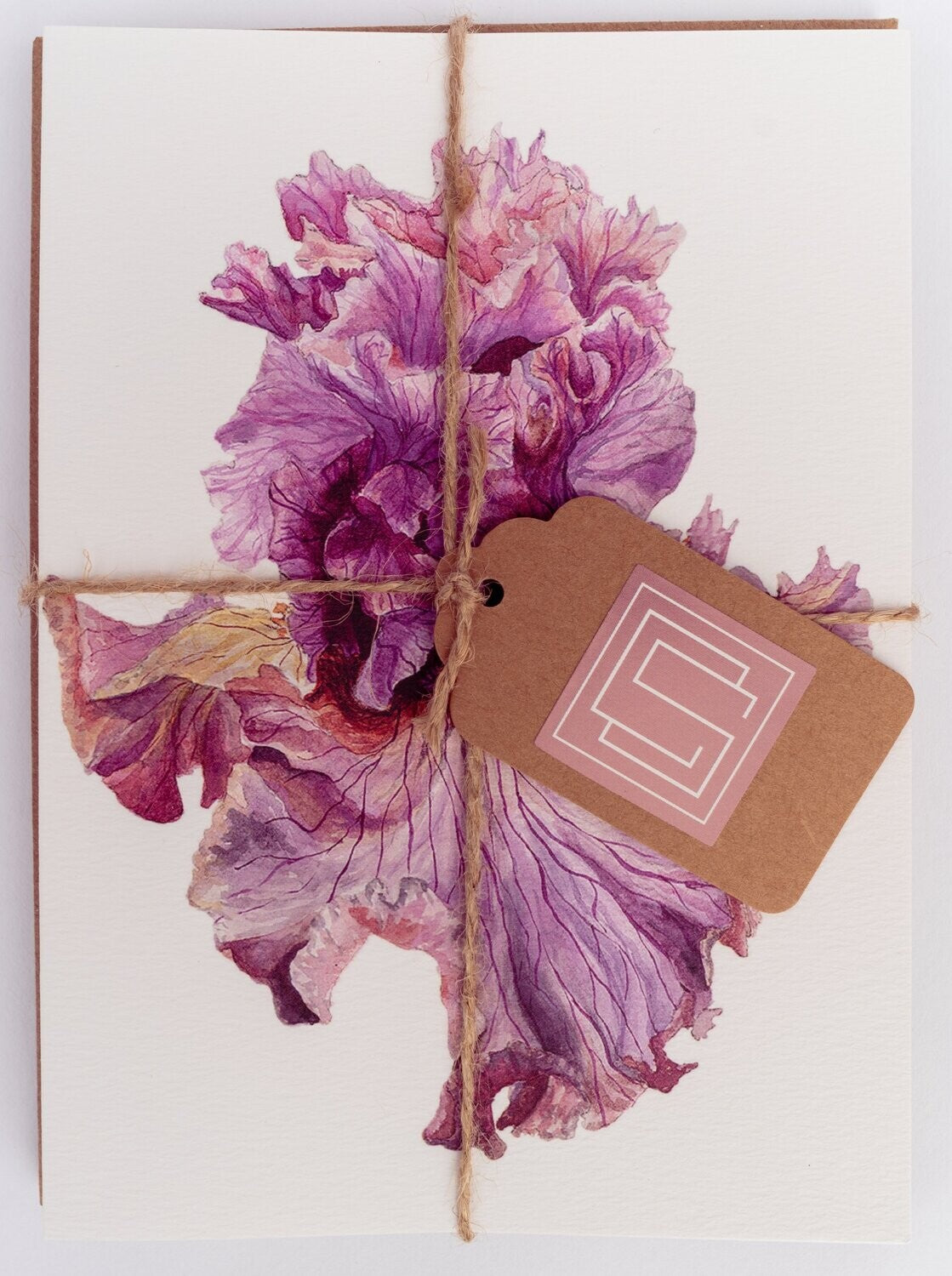 Botanical Beauty | Set of 8 Fine Art Greeting Cards