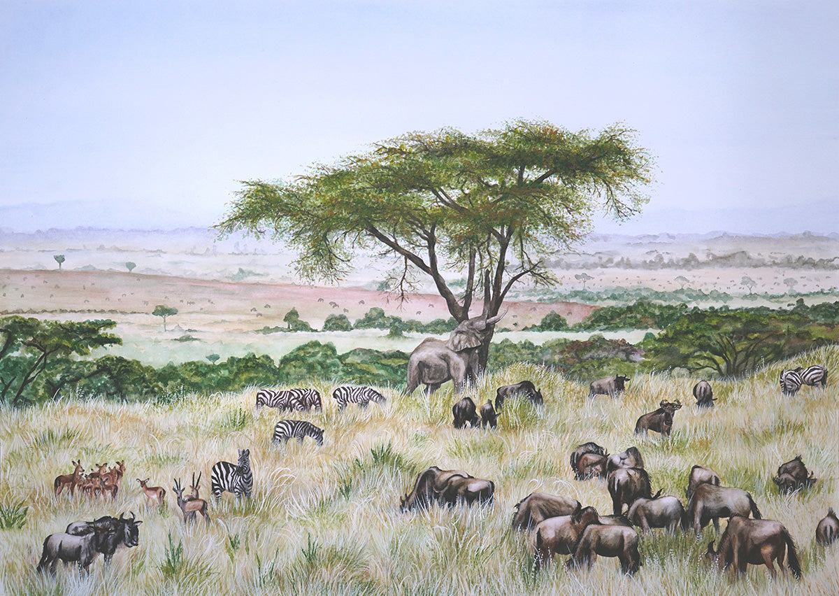 Africa watercolour elephant acacia commissions