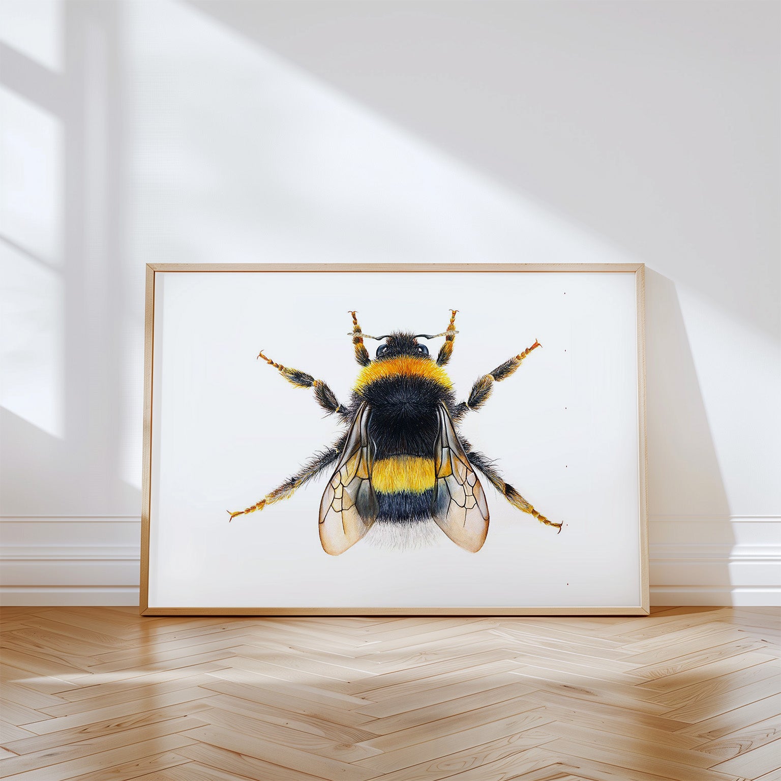 Queen Bumblebee, Limited Edition Fine Art Print