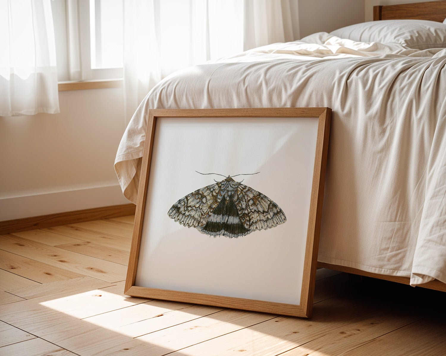 Blue Underwing Moth, Fine Art Watercolour Print