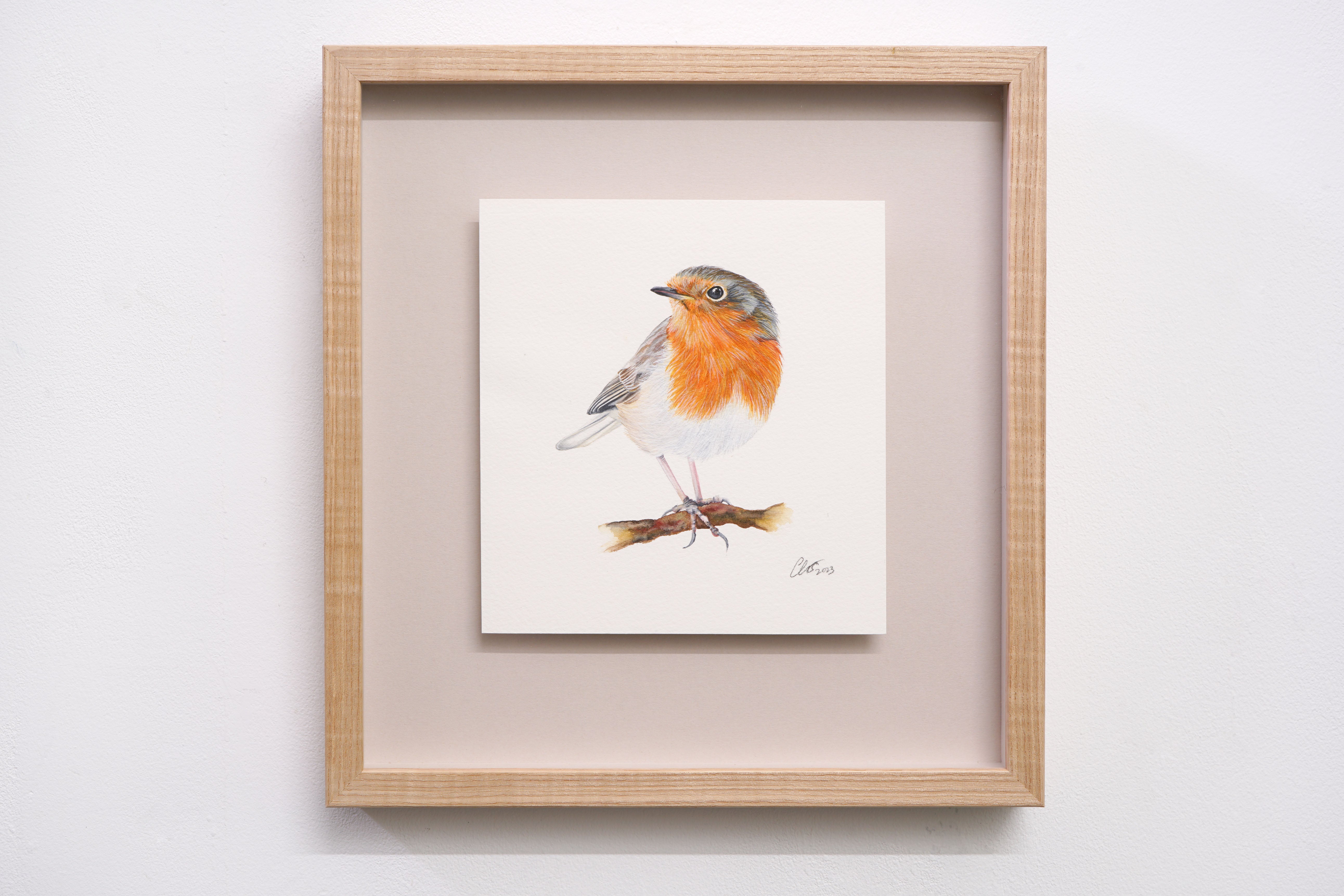 Robin Redbreast, Original Watercolour Painting