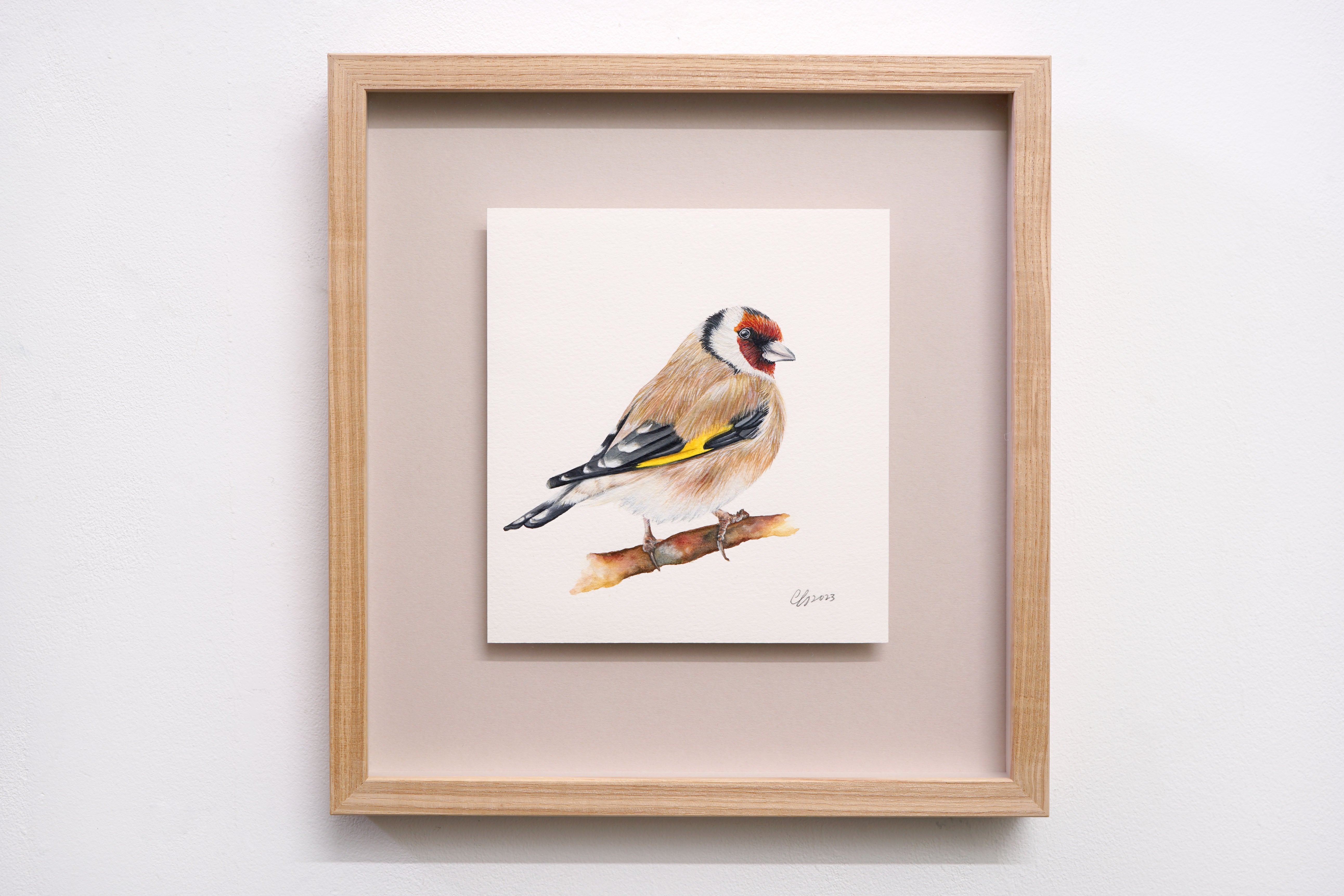 Goldfinch, Original Watercolour Painting