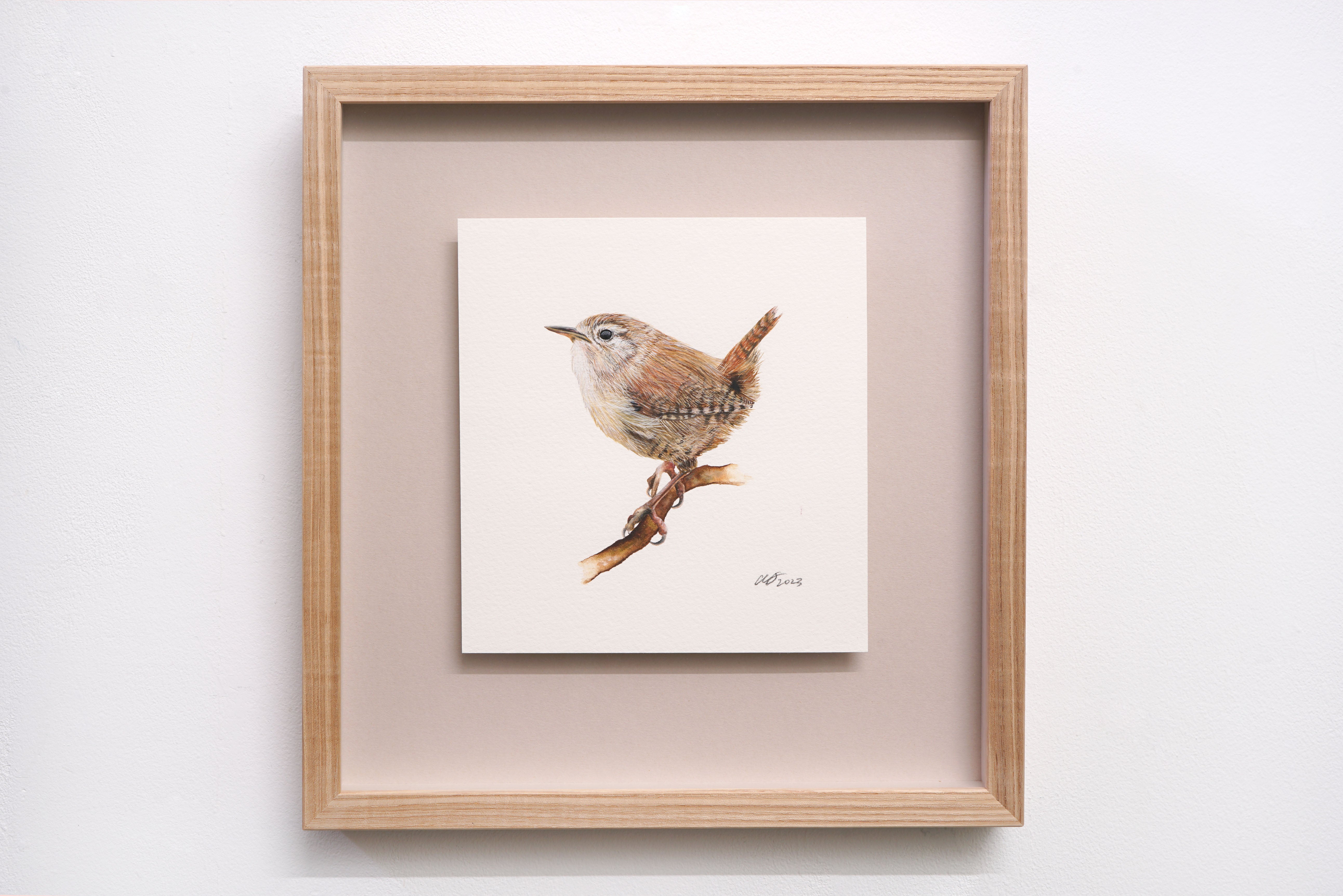 Jenny Wren, Original Watercolour Painting