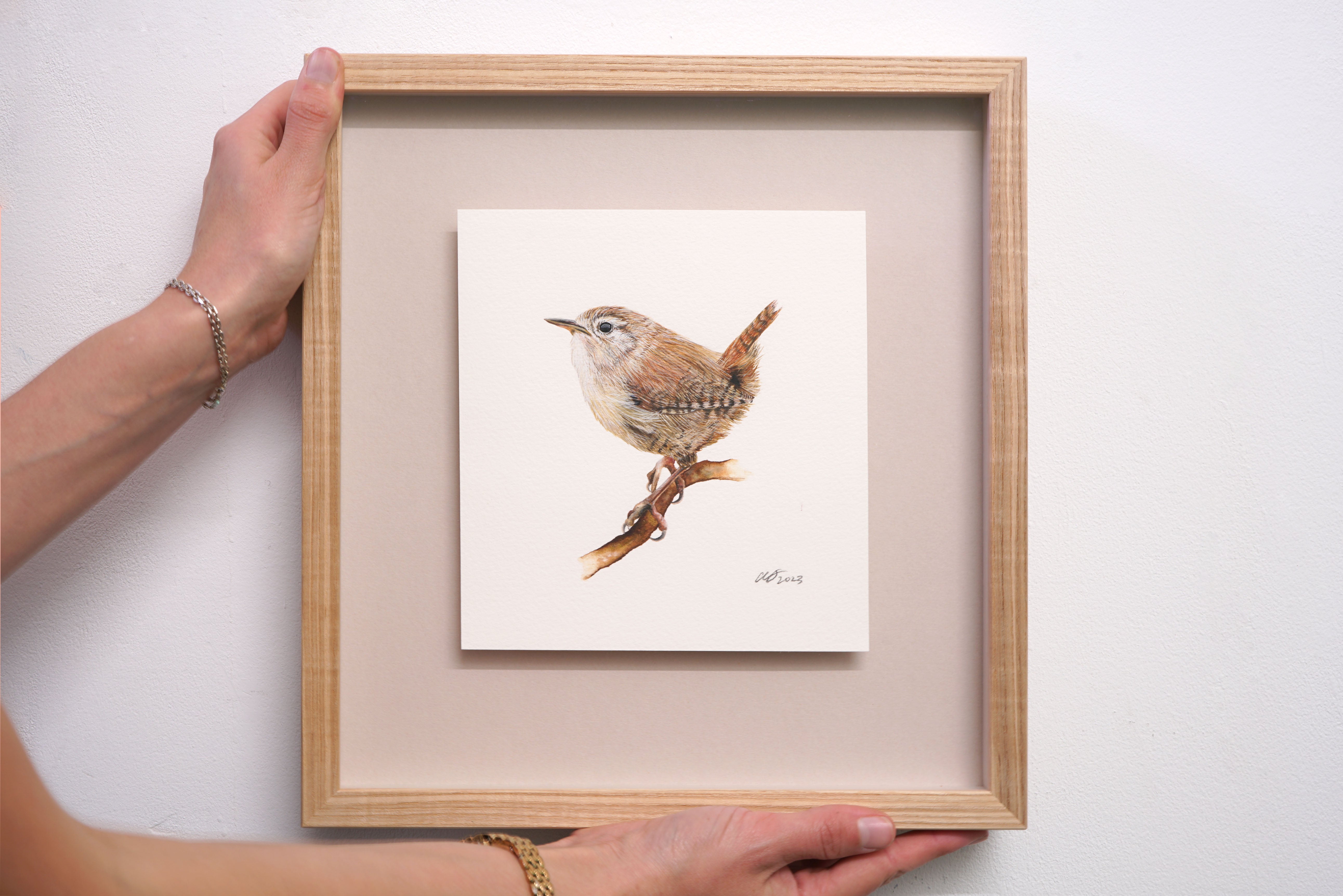 Jenny Wren, Original Watercolour Painting
