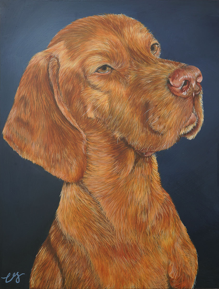 Dasher dog portrait acrylic