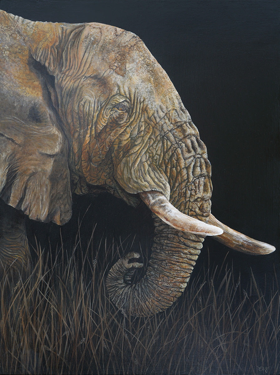 Elephant  commission